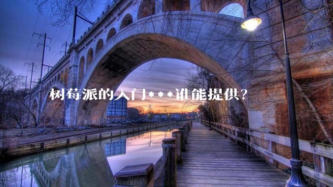 树莓派的入门***谁能提供？